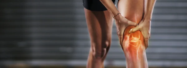 Role of Undenatured Chicken Collagen Type II in Osteoarthritis