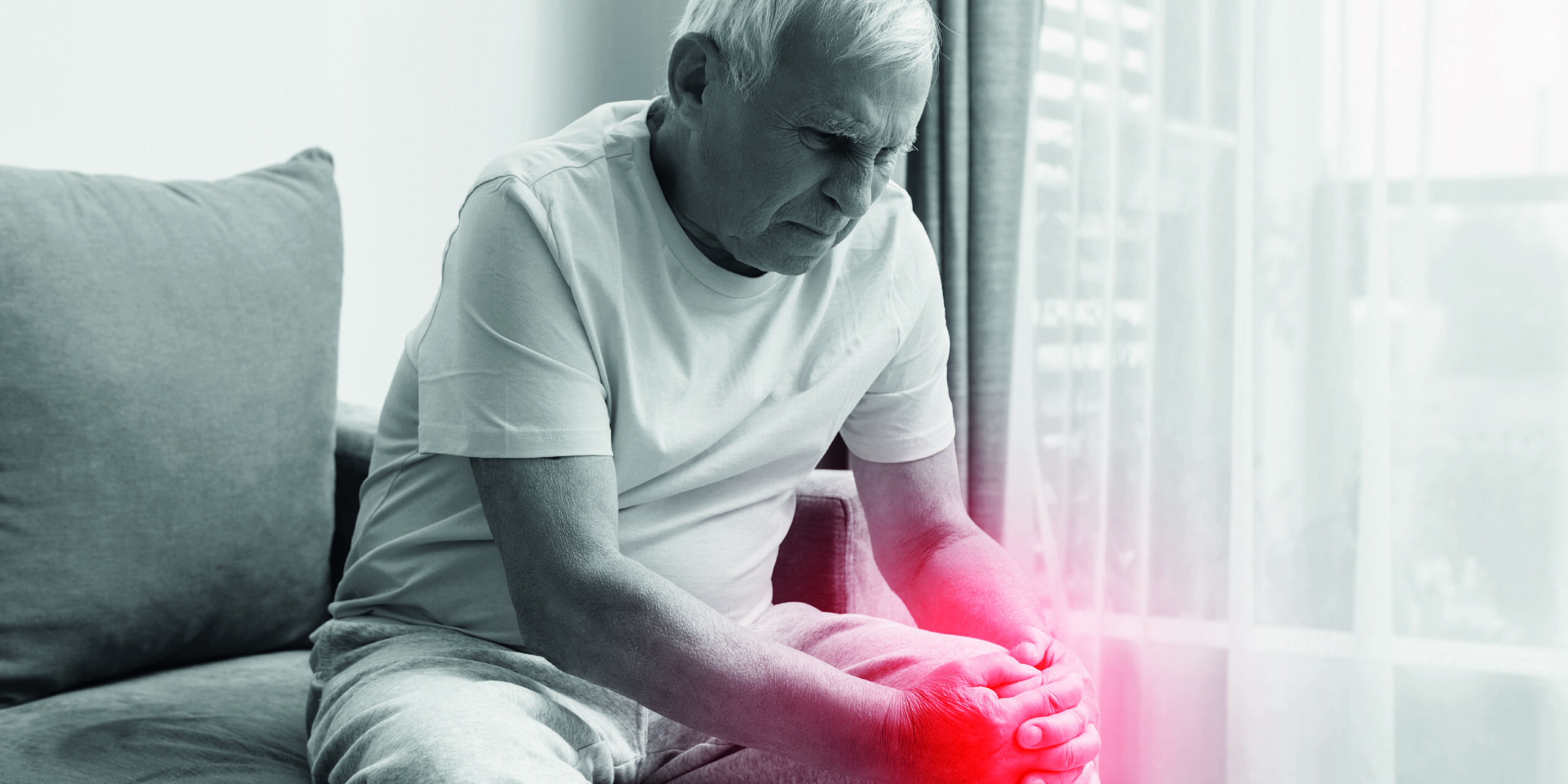 Undenatured chicken collagen type II for aging Joints