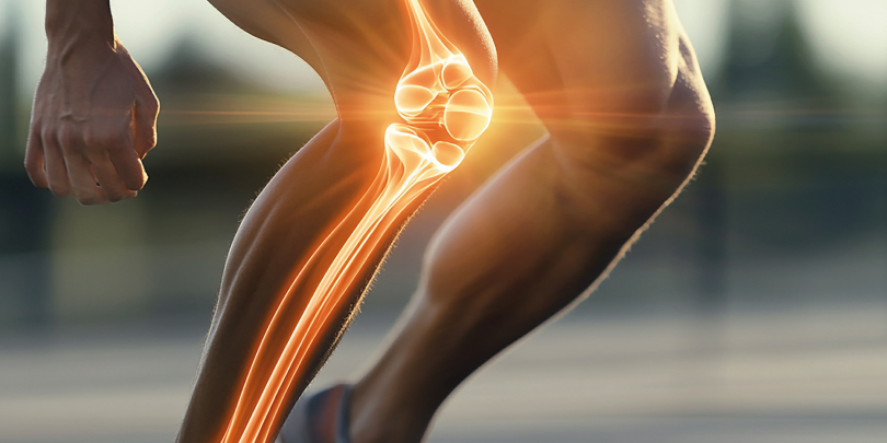 undenatured type 2 chicken collagen in joint health nutrition