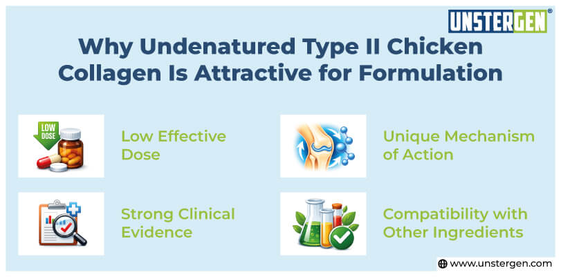 Why Undenatured Type II Chicken Collagen Is Attractive for Formulation
