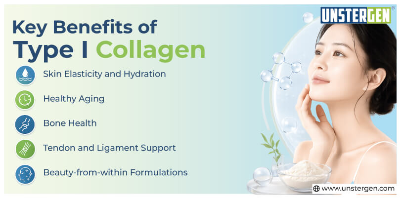 Key Benefits of Type I Collagen