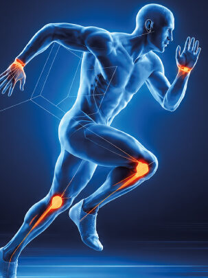 Load more Attachment Details Image filter None type-1-vs-type-2-collagen-for-joint-health